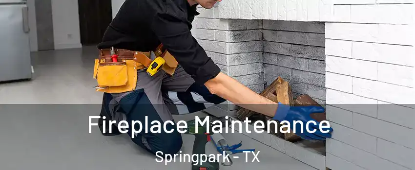 Fireplace Maintenance Springpark - TX