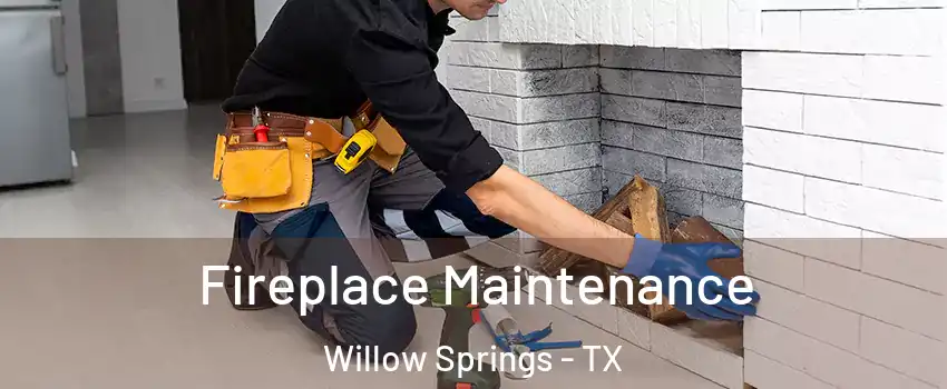 Fireplace Maintenance Willow Springs - TX