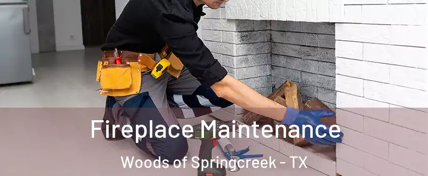 Fireplace Maintenance Woods of Springcreek - TX