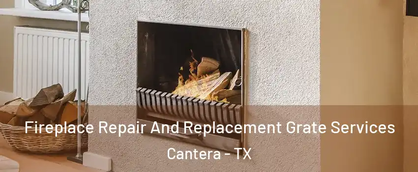 Fireplace Repair And Replacement Grate Services Cantera - TX