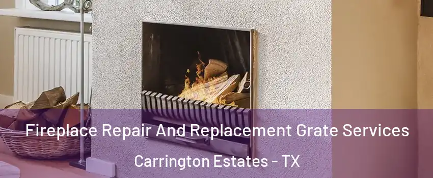 Fireplace Repair And Replacement Grate Services Carrington Estates - TX