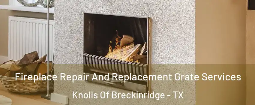Fireplace Repair And Replacement Grate Services Knolls Of Breckinridge - TX