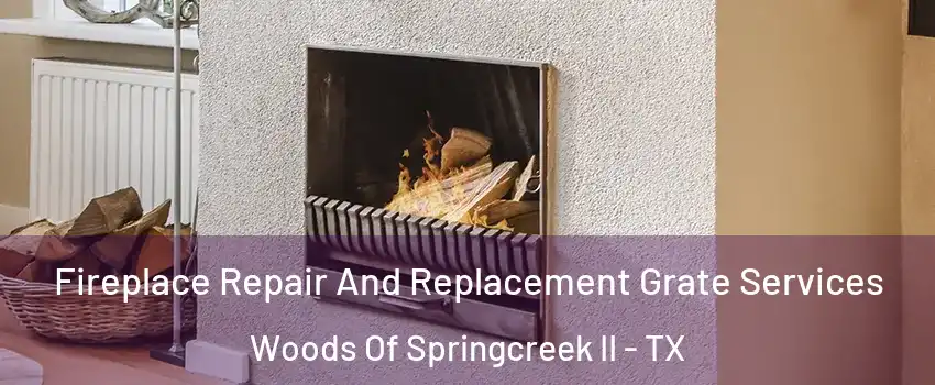 Fireplace Repair And Replacement Grate Services Woods Of Springcreek II - TX