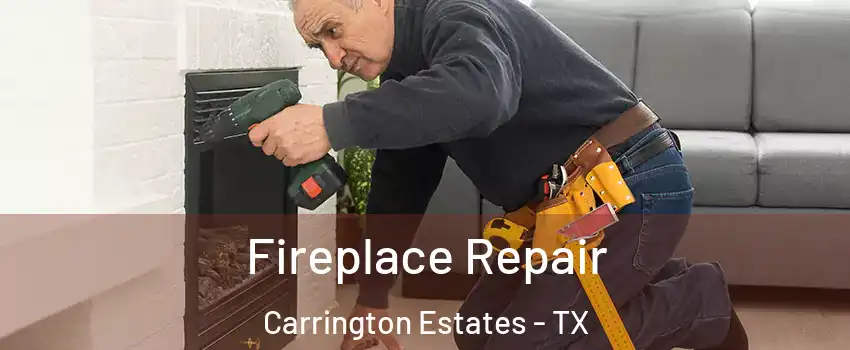 Fireplace Repair Carrington Estates - TX