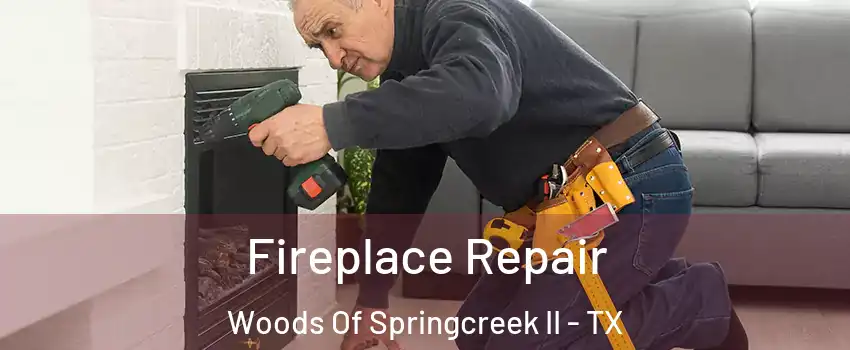 Fireplace Repair Woods Of Springcreek II - TX