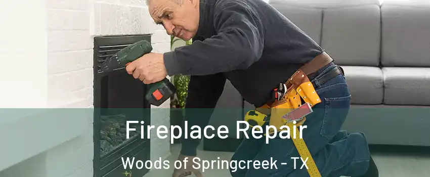 Fireplace Repair Woods of Springcreek - TX