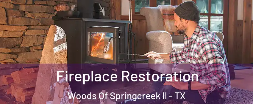Fireplace Restoration Woods Of Springcreek II - TX