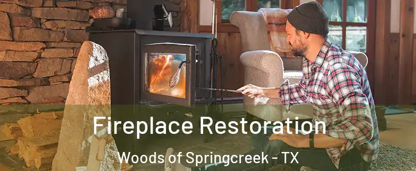 Fireplace Restoration Woods of Springcreek - TX