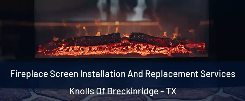 Fireplace Screen Installation And Replacement Services Knolls Of Breckinridge - TX