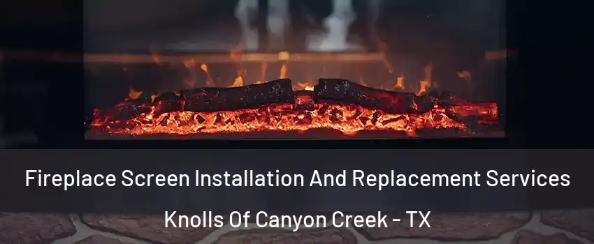 Fireplace Screen Installation And Replacement Services Knolls Of Canyon Creek - TX