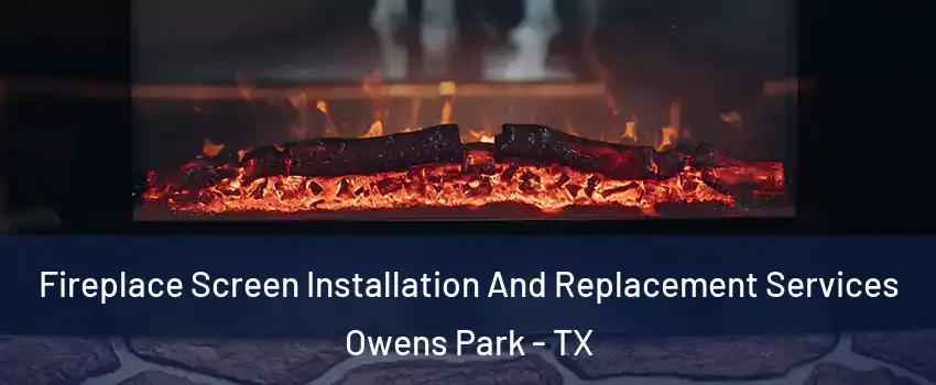 Fireplace Screen Installation And Replacement Services Owens Park - TX