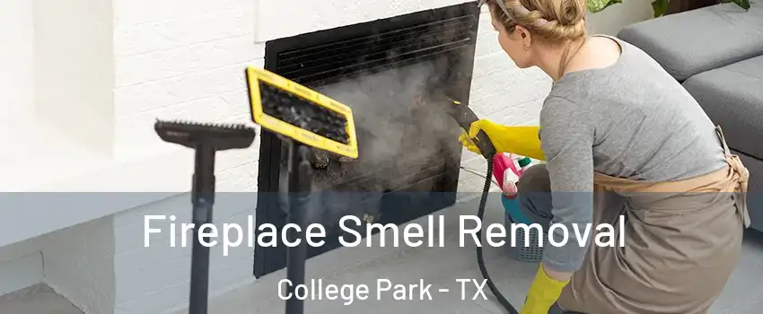 Fireplace Smell Removal College Park - TX