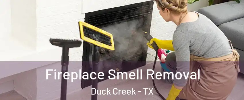 Fireplace Smell Removal Duck Creek - TX
