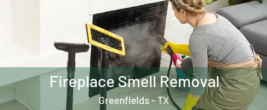 Fireplace Smell Removal Greenfields - TX