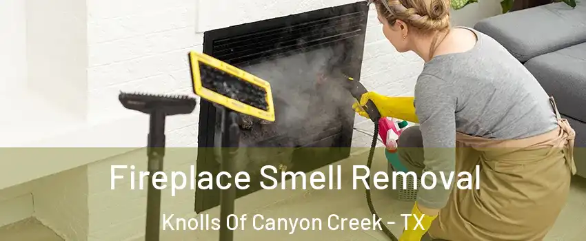 Fireplace Smell Removal Knolls Of Canyon Creek - TX