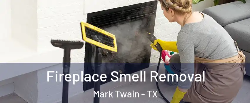 Fireplace Smell Removal Mark Twain - TX
