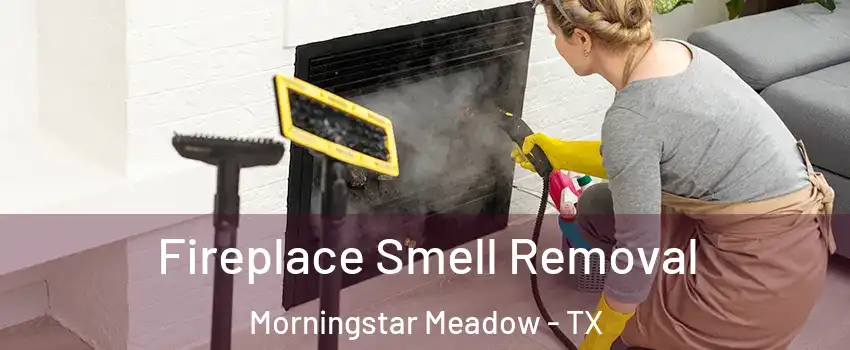 Fireplace Smell Removal Morningstar Meadow - TX