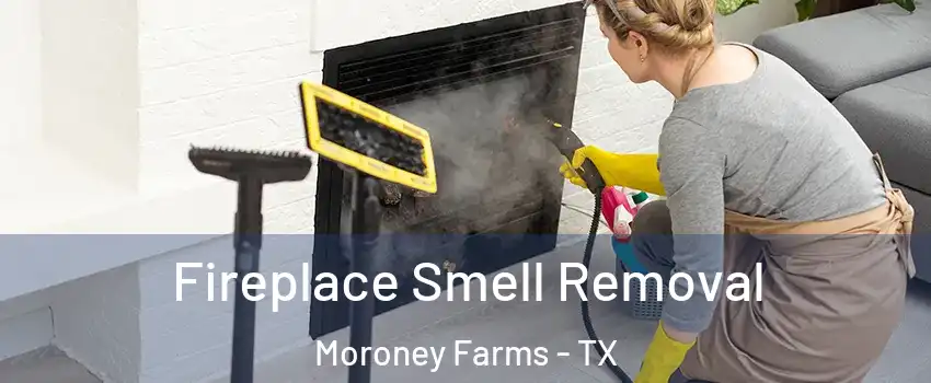 Fireplace Smell Removal Moroney Farms - TX