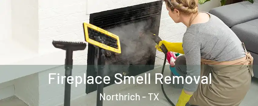 Fireplace Smell Removal Northrich - TX