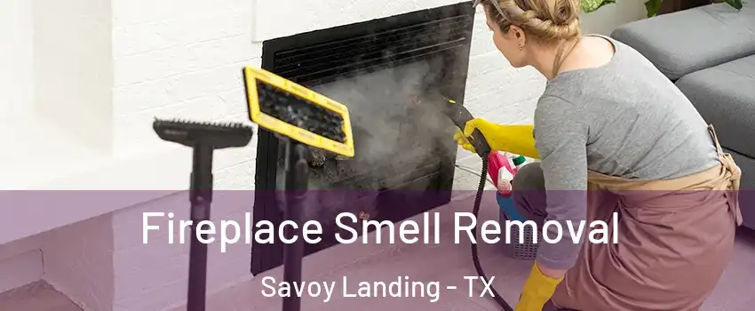 Fireplace Smell Removal Savoy Landing - TX