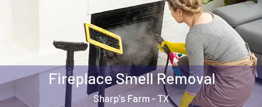 Fireplace Smell Removal Sharp's Farm - TX