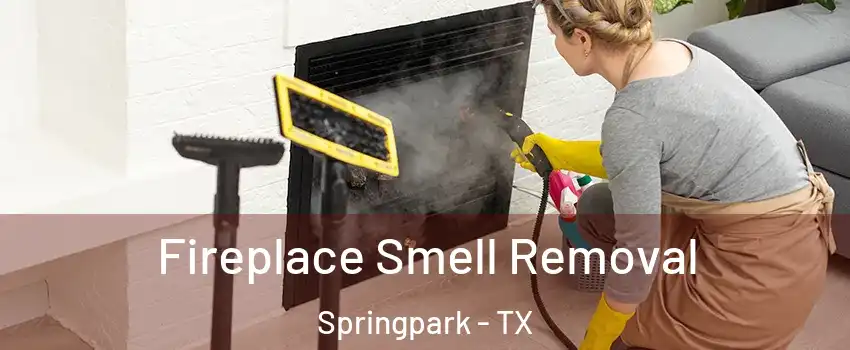 Fireplace Smell Removal Springpark - TX