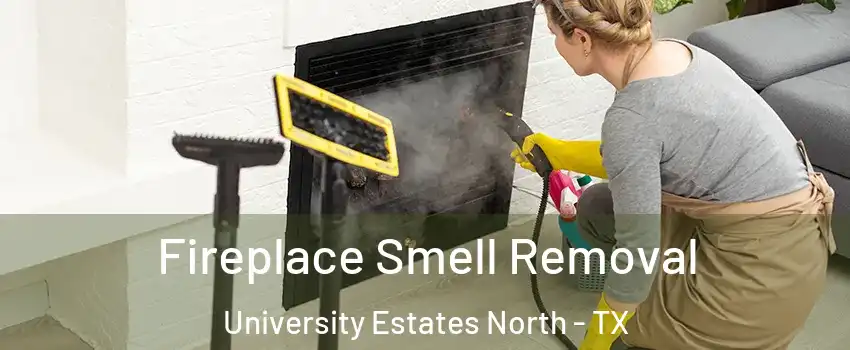 Fireplace Smell Removal University Estates North - TX
