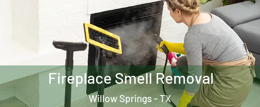 Fireplace Smell Removal Willow Springs - TX