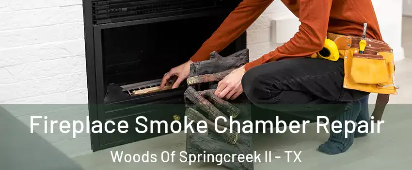 Fireplace Smoke Chamber Repair Woods Of Springcreek II - TX
