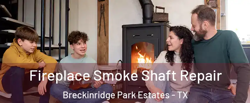 Fireplace Smoke Shaft Repair Breckinridge Park Estates - TX