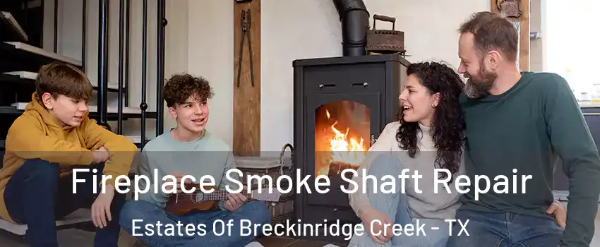 Fireplace Smoke Shaft Repair Estates Of Breckinridge Creek - TX