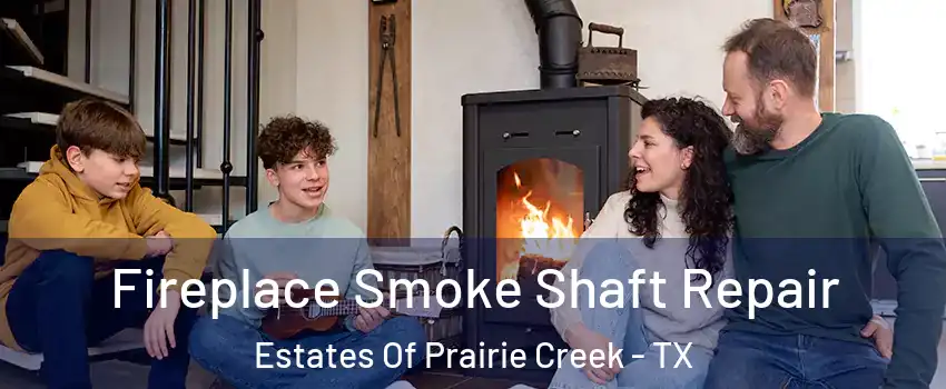 Fireplace Smoke Shaft Repair Estates Of Prairie Creek - TX