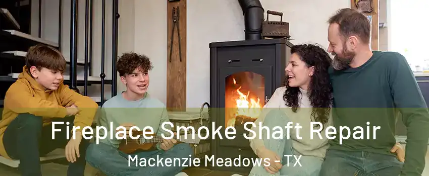 Fireplace Smoke Shaft Repair Mackenzie Meadows - TX