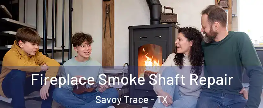 Fireplace Smoke Shaft Repair Savoy Trace - TX