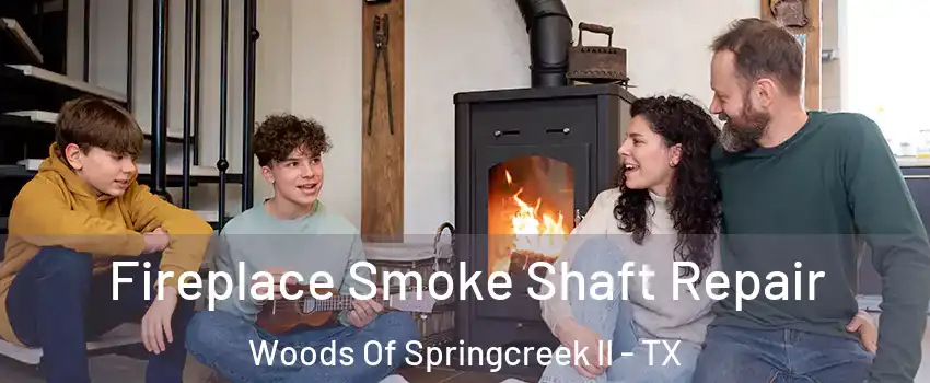 Fireplace Smoke Shaft Repair Woods Of Springcreek II - TX