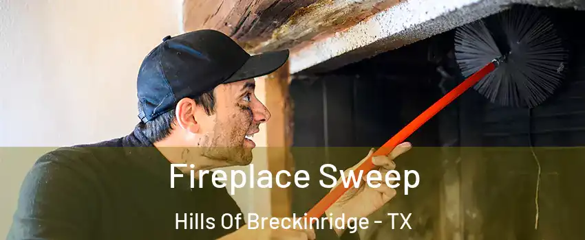 Fireplace Sweep Hills Of Breckinridge - TX