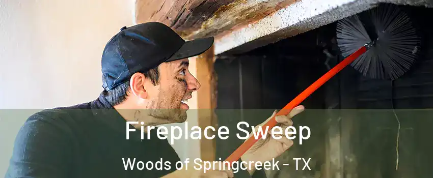 Fireplace Sweep Woods of Springcreek - TX