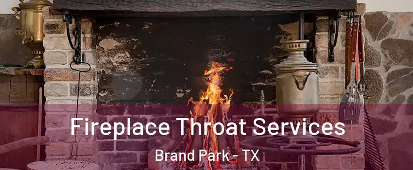 Fireplace Throat Services Brand Park - TX