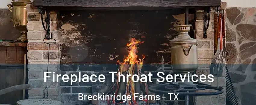Fireplace Throat Services Breckinridge Farms - TX
