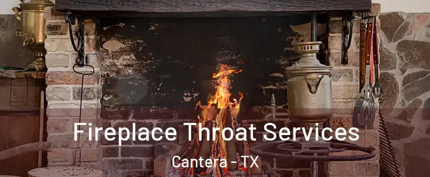 Fireplace Throat Services Cantera - TX