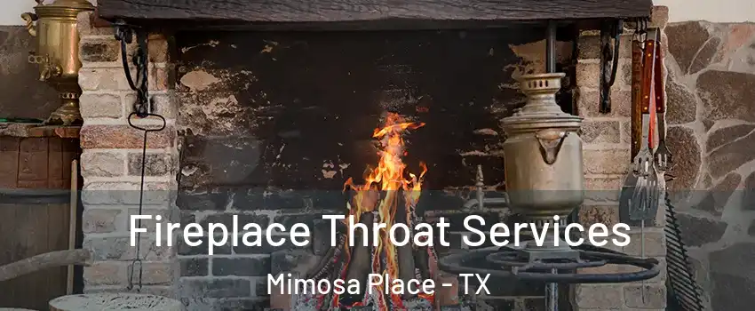 Fireplace Throat Services Mimosa Place - TX