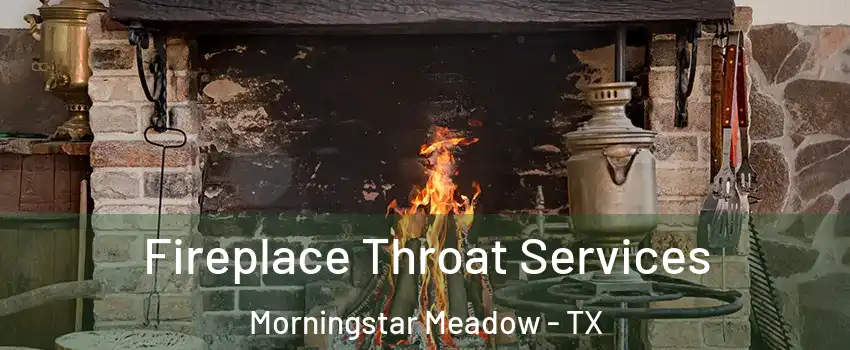Fireplace Throat Services Morningstar Meadow - TX