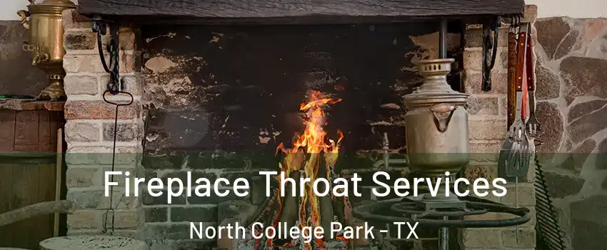 Fireplace Throat Services North College Park - TX
