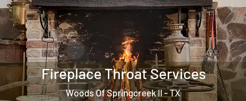 Fireplace Throat Services Woods Of Springcreek II - TX