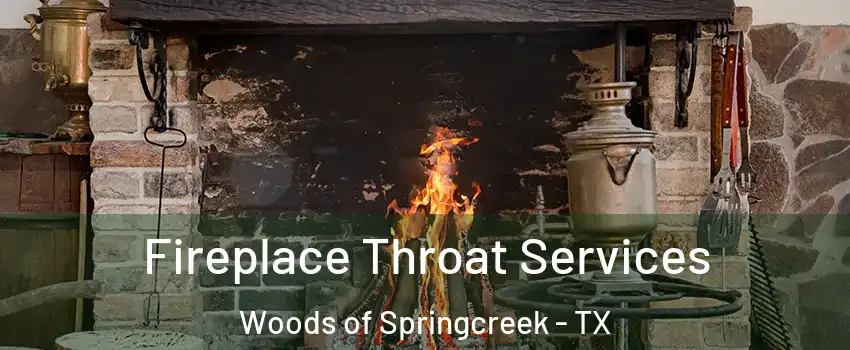 Fireplace Throat Services Woods of Springcreek - TX