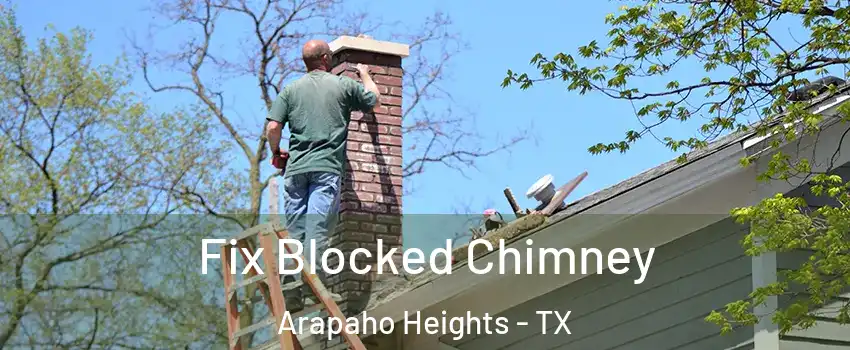 Fix Blocked Chimney Arapaho Heights - TX