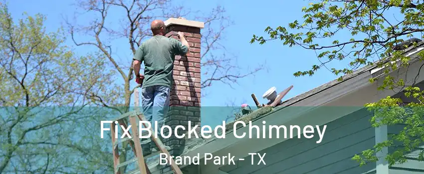 Fix Blocked Chimney Brand Park - TX