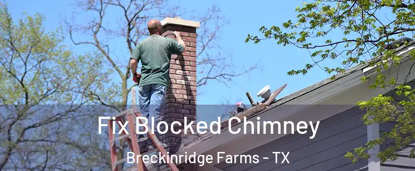 Fix Blocked Chimney Breckinridge Farms - TX