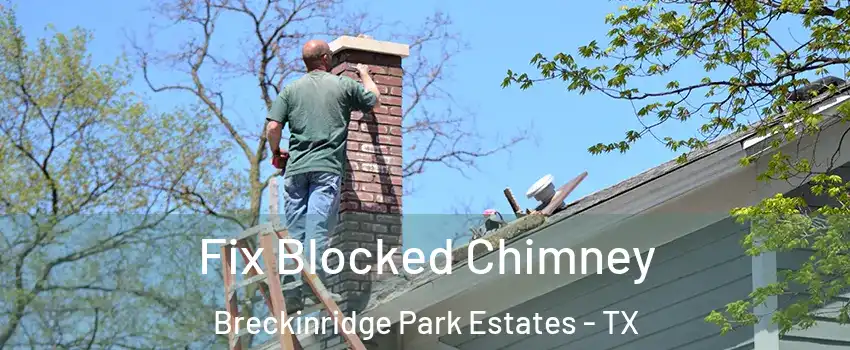 Fix Blocked Chimney Breckinridge Park Estates - TX