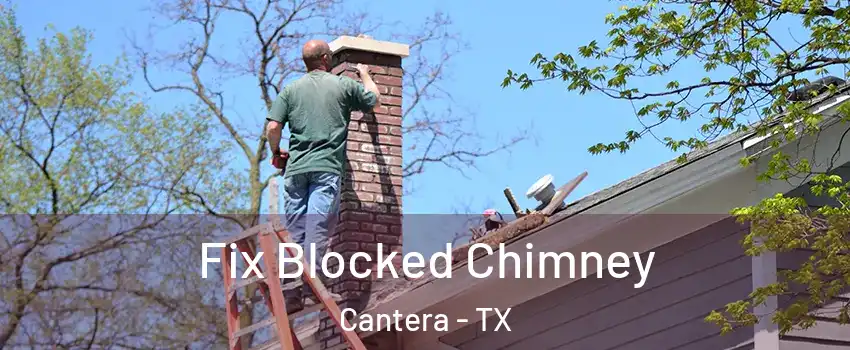 Fix Blocked Chimney Cantera - TX